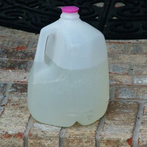 Pinnacle Liquid Gloss Rinseless Wash 12