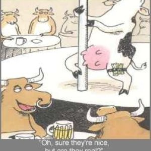 StripperCows
