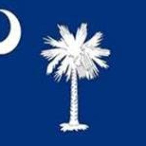 palmetto