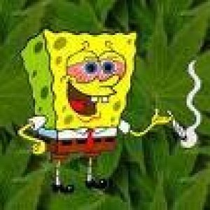 spongeBob