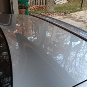 photo_6_