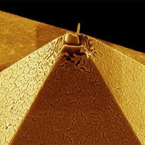 AtomicForceMicroscope