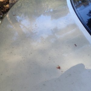 cars_detailed_006_6