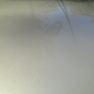 cars_detailed_013_13