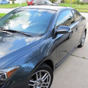 Scion