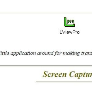 LviewPro
