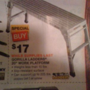 platform_ladder1