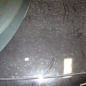 Detail_015