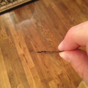 photo_3_4