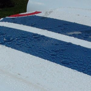 56Corvette3coatsFuzion5.jpg