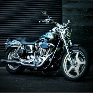 My 02 FXDL
