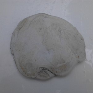 2012-08-11_14_09_38