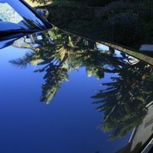 Hood Reflection