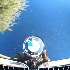 BMW 330i