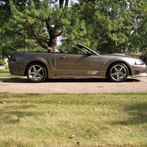 4599saleen1