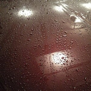 photo121