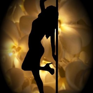 stripper2