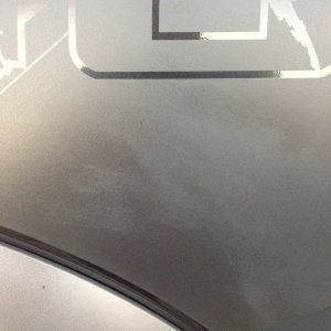 2013 Raptor Vinyl decal