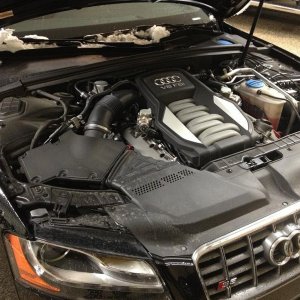 engine_bay_before