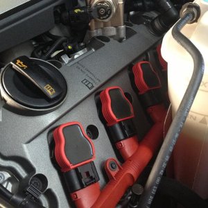 engine_bay_close_up