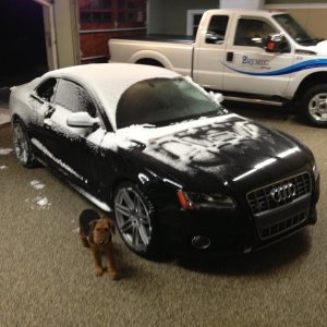 car_drop_off