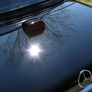 After_Trunk_1