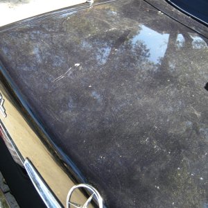 Before_trunk3