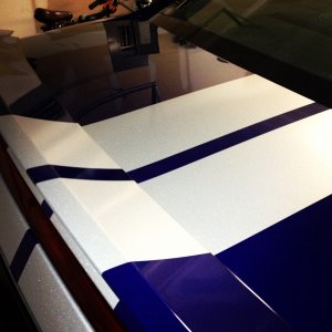 stripes_trunk