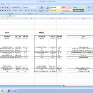 Meg_Data2