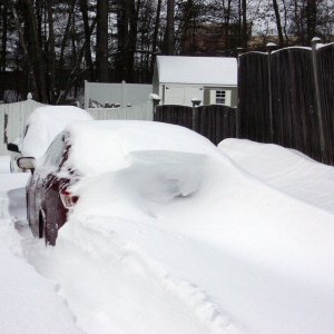 Blizzard
