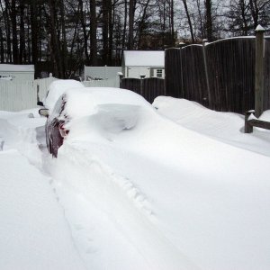 Blizzard