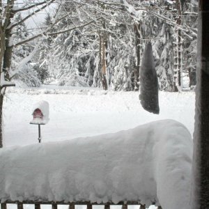 Blizzard_09-Feb-13_003