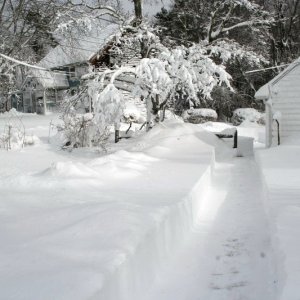 Blizzard_09-Feb-13_005