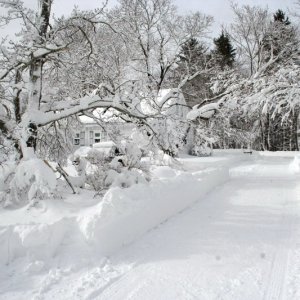 Blizzard_09-Feb-13_008