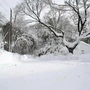 Blizzard_09-Feb-13_014