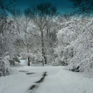 Blizzard_09-Feb-13_021