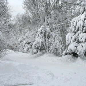 Blizzard_09-Feb-13_022