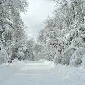 Blizzard_09-Feb-13_024