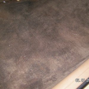 carpet
