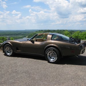 Vette