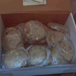 cookies