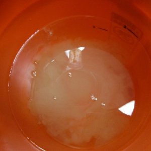 06_-_Solution_In_Water