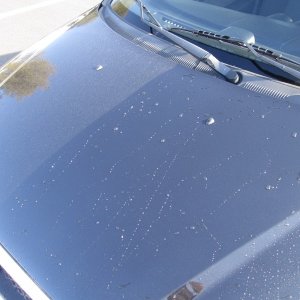 12_-_Hood_Washed