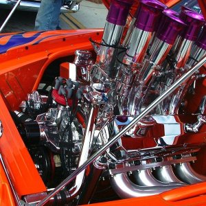 Panic Parrot detailed by Mike Phillips