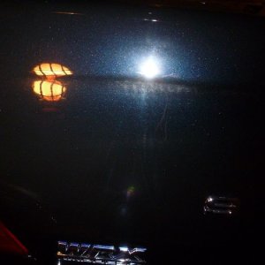 2-16-13_scuffs_5_700
