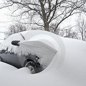 snow7