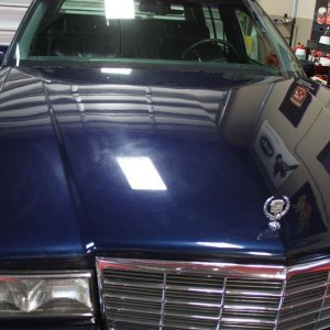 The Art of Polishing Paint Advanced Detailing Classes