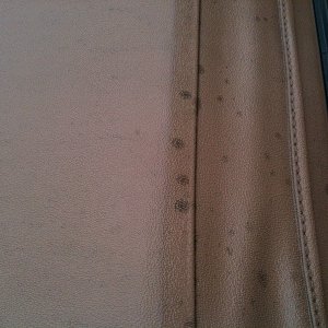 Spots on Vinyl Top 3