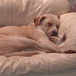 IMG-20121223-00038