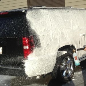 photo46